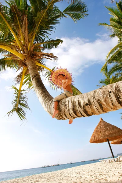 Lycklig pojke sitter på palm — Stockfoto