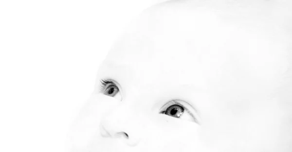 Close-up van baby portret over Wit — Stockfoto