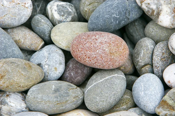 Pebbles — Stock Photo, Image