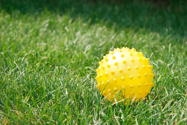 Gele bal in groen gras — Stockfoto