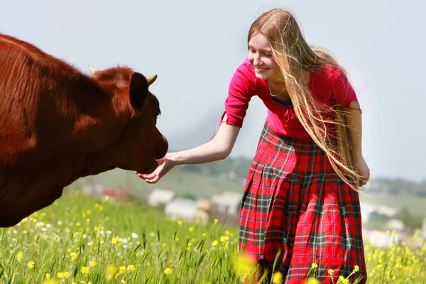 Beautiful girl with long hair feeding cow on meadow — Stock Photo, Image