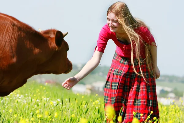 Jovem menina alimentando vaca no campo de flores — Fotografia de Stock