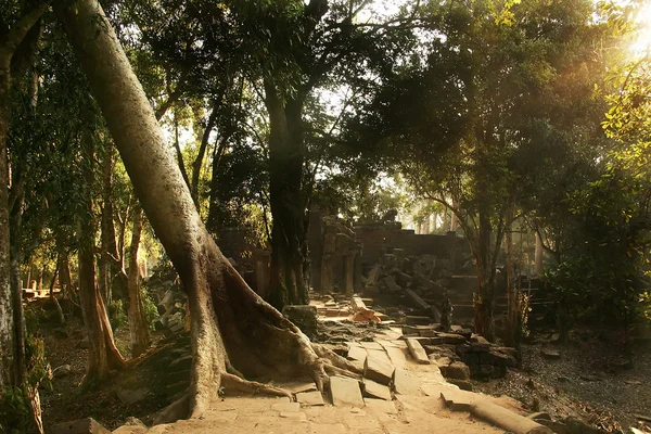 Camino arruinado al templo olvidado en la selva — Foto de Stock