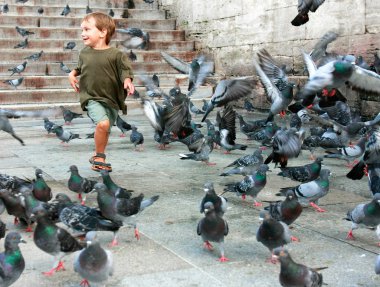 Güvercinler arasında çalışan mutlu çocuk