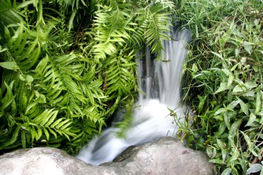 small waterfall in grass clipart