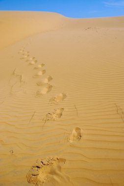 Kumda ayak izleri var.