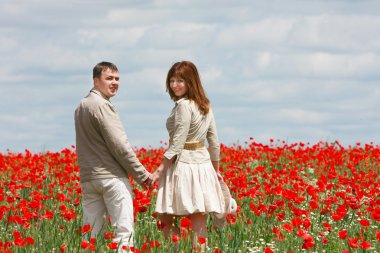 seven çift kırmızı poppies alanı