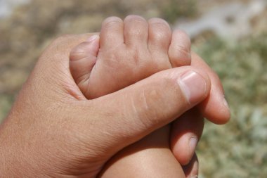 father holding baby's hand clipart