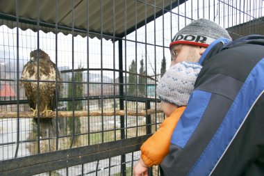 bebek çocuk babası hayvanat bahçesi ile