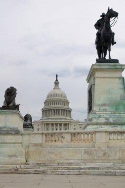 Bizi capitol