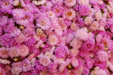 Pembe çiçeklerin arka planı