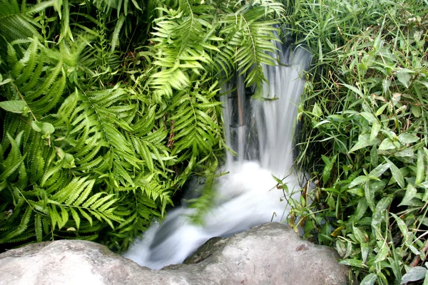 Small waterfall in grass — Stock Photo, Image