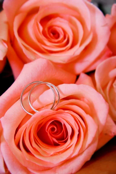 Dos anillos de boda en ramo de rosas — Foto de Stock