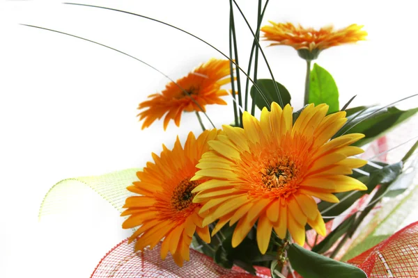 Kytice žlutých květin — Stock fotografie