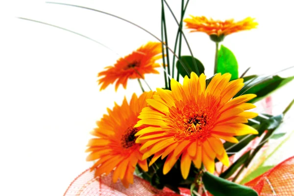 Sarı çiçek buketi — Stok fotoğraf