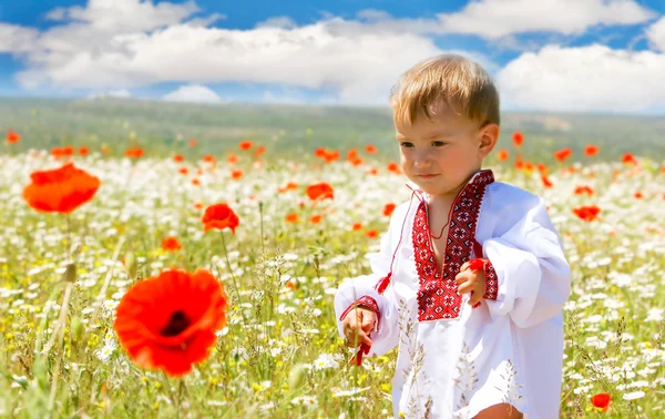 Junge in traditioneller Kleidung in Blumen — Stockfoto