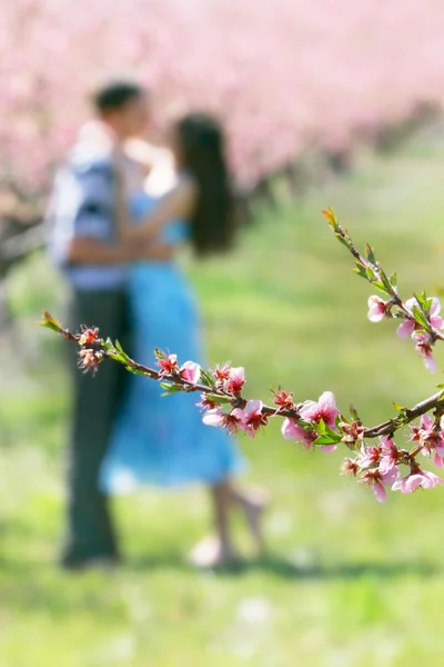 Spring flowers on loving couple background — Stock Photo, Image