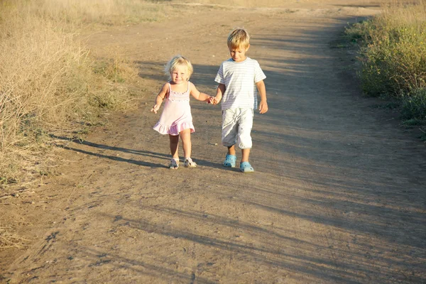 Hermano y hermana caminando por el camino del campo —  Fotos de Stock