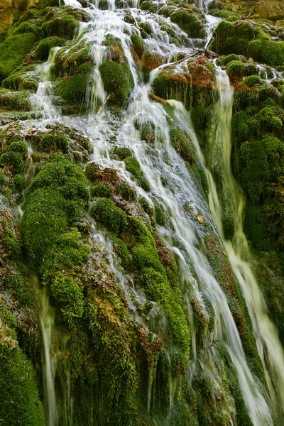 Foerst waterfall with sun galo — Stock Photo, Image