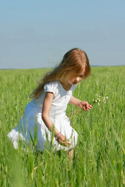 Чарівна дівчина з квітами на відкритому повітрі — стокове фото
