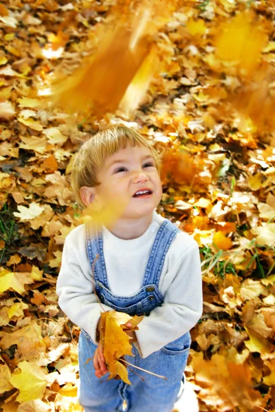 Young boy with autumn leaves in hands — Stock Photo, Image