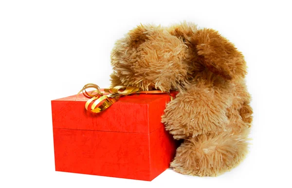 Toy dog with gift box over white — Stock Photo, Image
