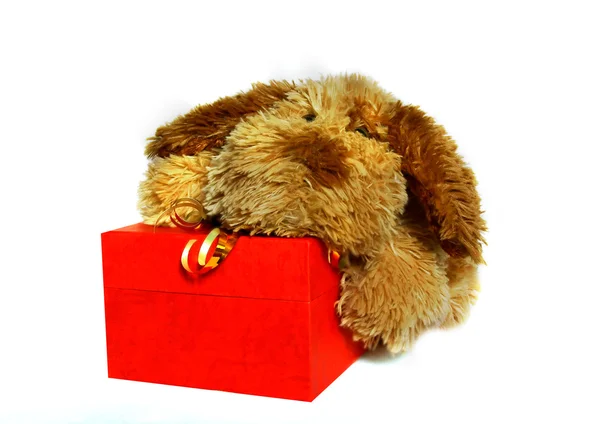 Toy-dog with gift box over white — Stock Photo, Image