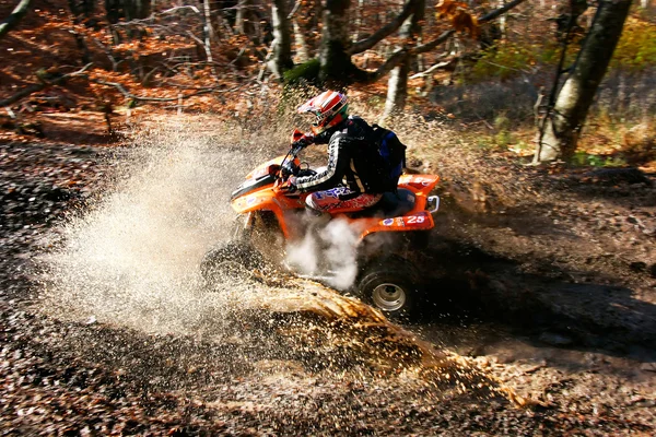 eylem Quad yarışçı