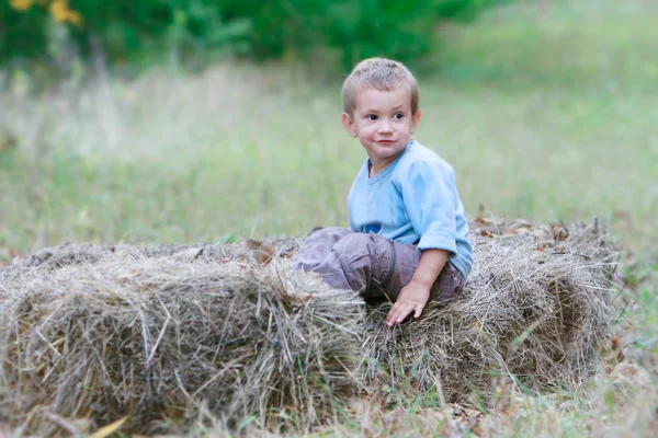 Симпатичный мальчик играет на сене — стоковое фото