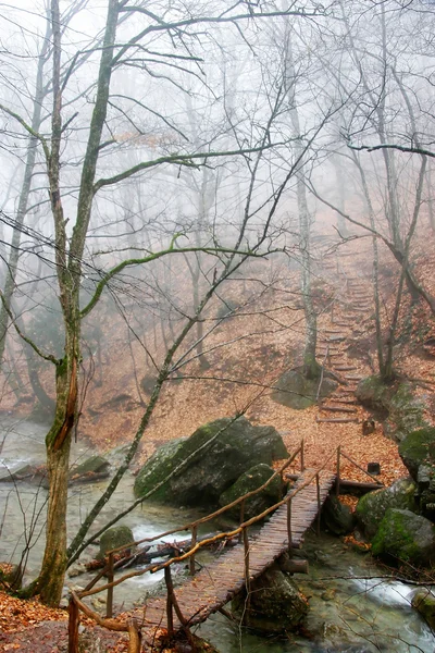 Puente de madera sobre un pequeño río en el bosque de otoño — Foto de Stock