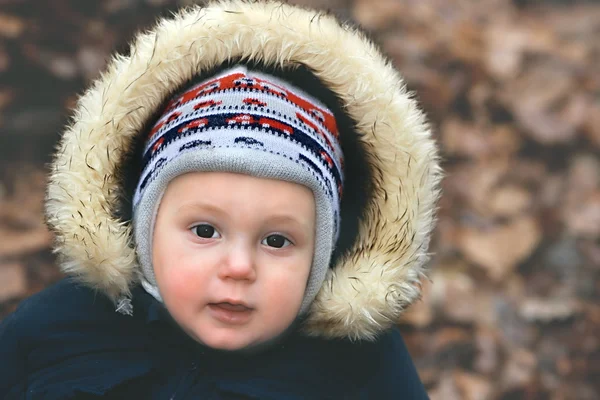 Retrato de um menino no parque de outono — Fotografia de Stock