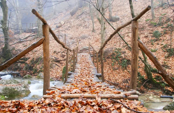 Ponte di legno nella foresta autunnale — Foto Stock