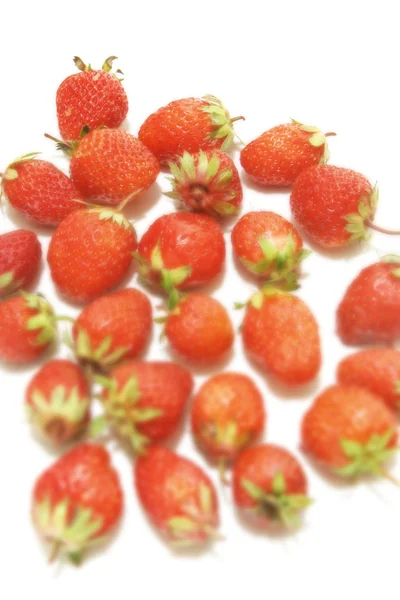 Many strawberries over white — Stock Photo, Image