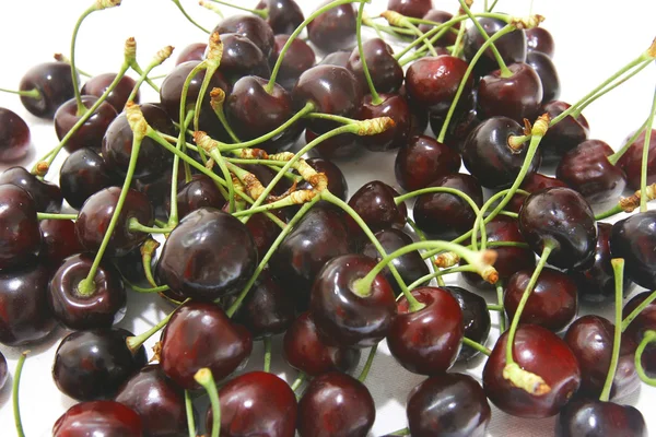Many cherries over white — Stock Photo, Image