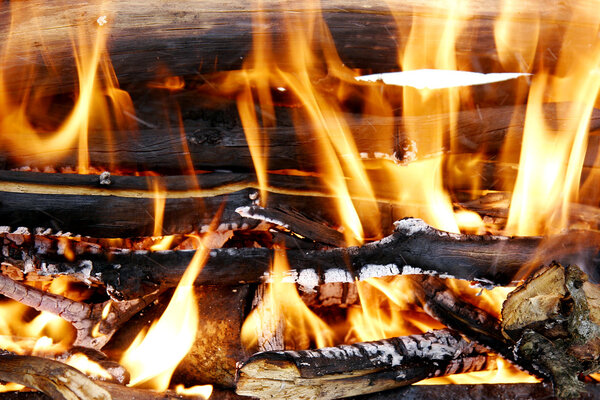 burning woods in fireplace