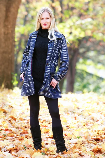 Attractive young woman in autumn park — Stock Photo, Image