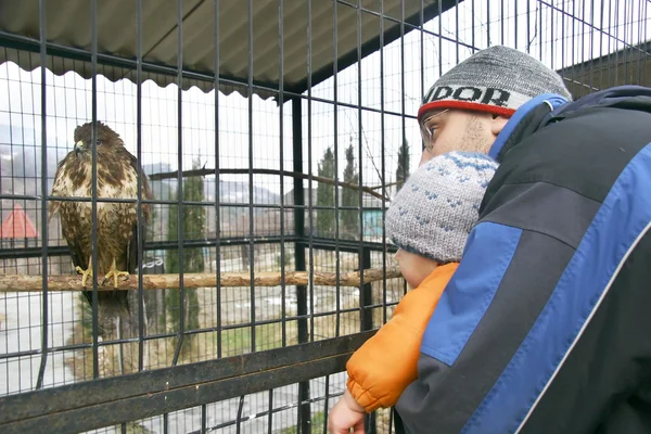 Pojke med far i zoo — Stockfoto