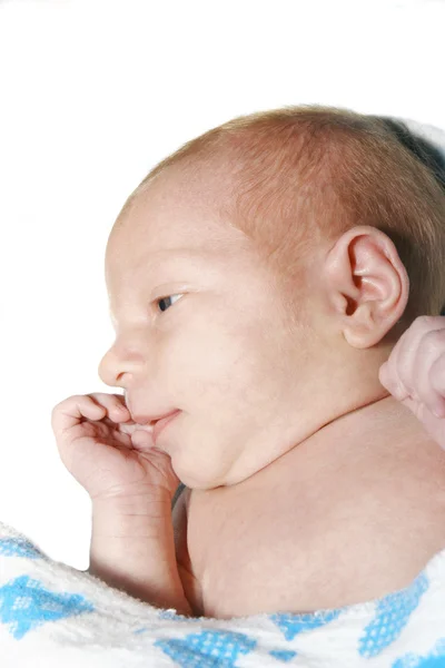 Nahaufnahme eines gerade geborenen Babys über Weiß — Stockfoto