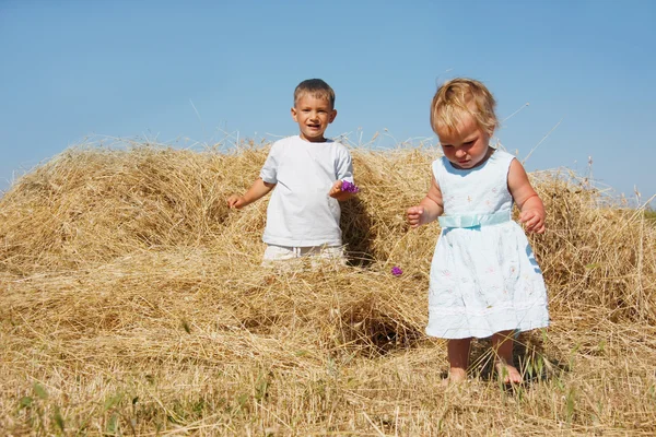 Duas crianças brincando no feno — Fotografia de Stock