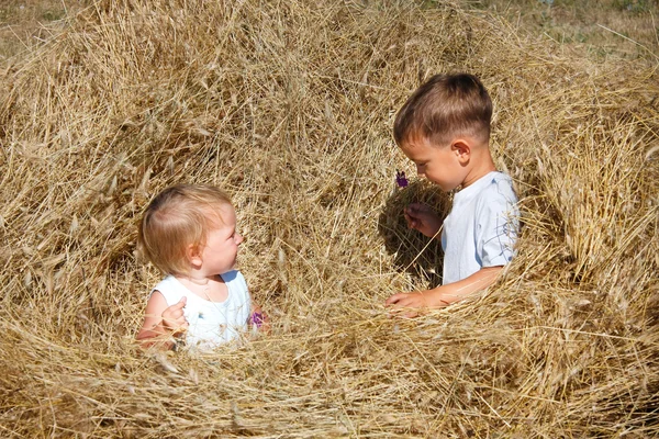 Duas crianças brincando no feno — Fotografia de Stock