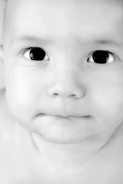 Baby boy portrait — Stock Photo, Image