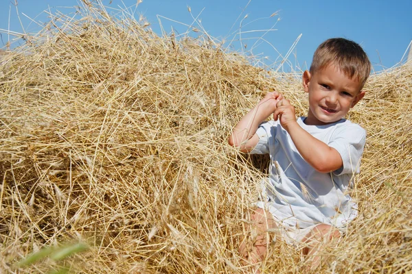 干し草の山でかわいい少年 — ストック写真