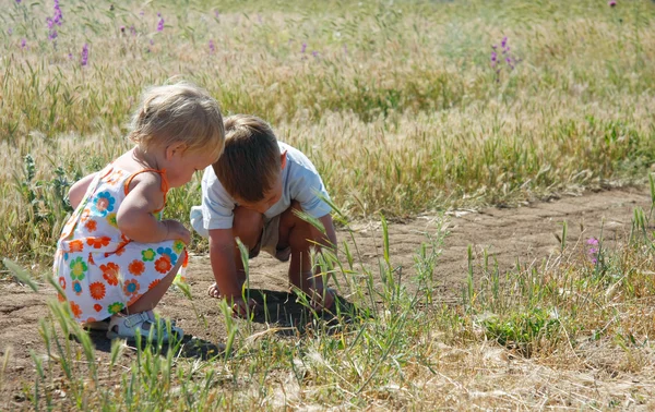 Twee kinderen spelen in platteland — Stockfoto