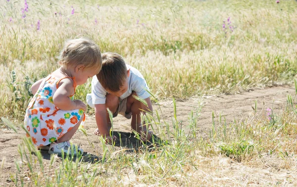 Deux enfants attrapant des sauterelles dans l'herbe — Photo