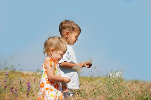 Двое детей играют в сельской местности — стоковое фото