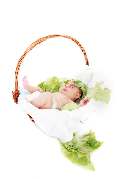 Концептуальний знімок новонародженої дитини над білим — стокове фото