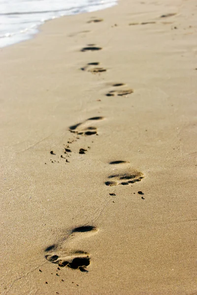 Footprints on empty sand beach