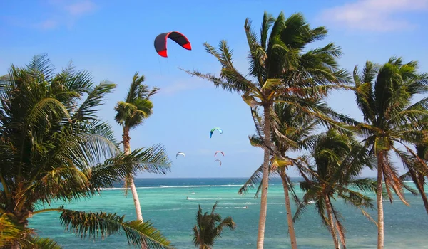 空と海の明るい背景で凧 — ストック写真