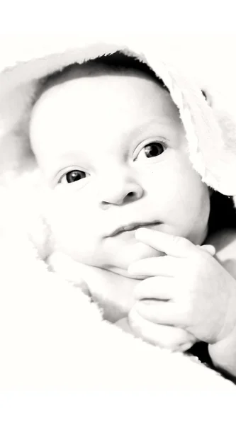 Bw baby portrait over white — Stock Photo, Image