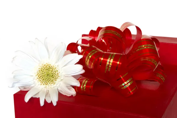 白上红色礼品盒和白花 — 图库照片